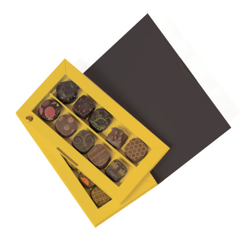 CHOCOLATERIE CASTELAIN NUANCIER 20 BONBONS ASSORTIMENT NOIR&LAIT190G