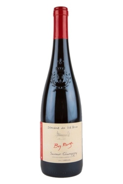 Aop Saumur Champigny Domaine Du Val Brun Bay Rouge 2022 Bio