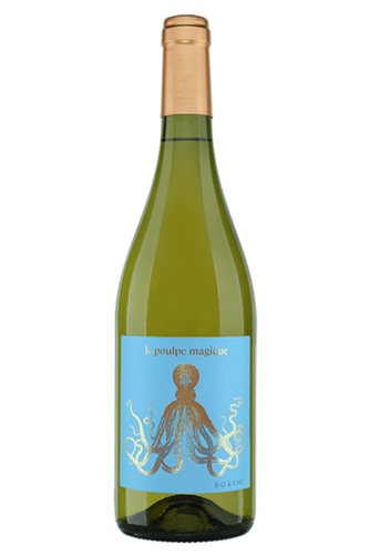 IGP COTES DU TARN SAUVIGNON BLANC POULPE MAGIQUE ARBEAU 2023 BIO