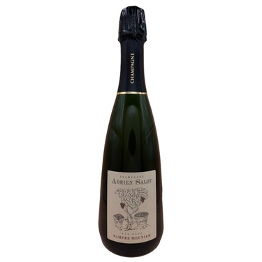 Champagne Arien Salot Pampre Meunier 75 Cl